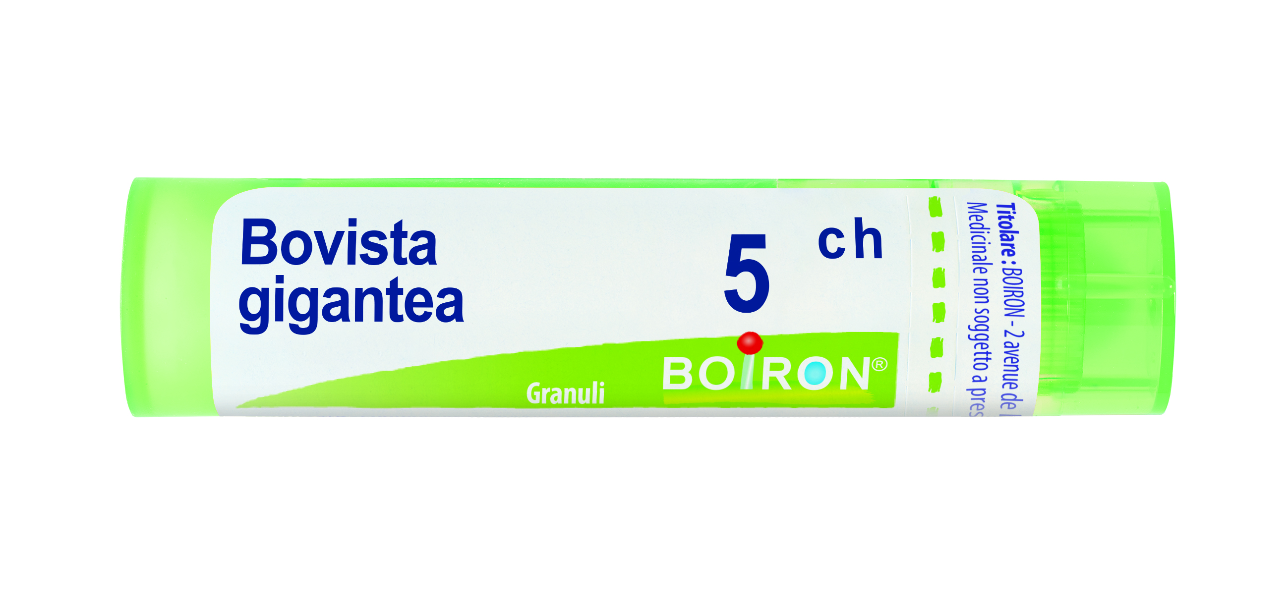 Bovista Gigan Boi – 5CH GR 4 g