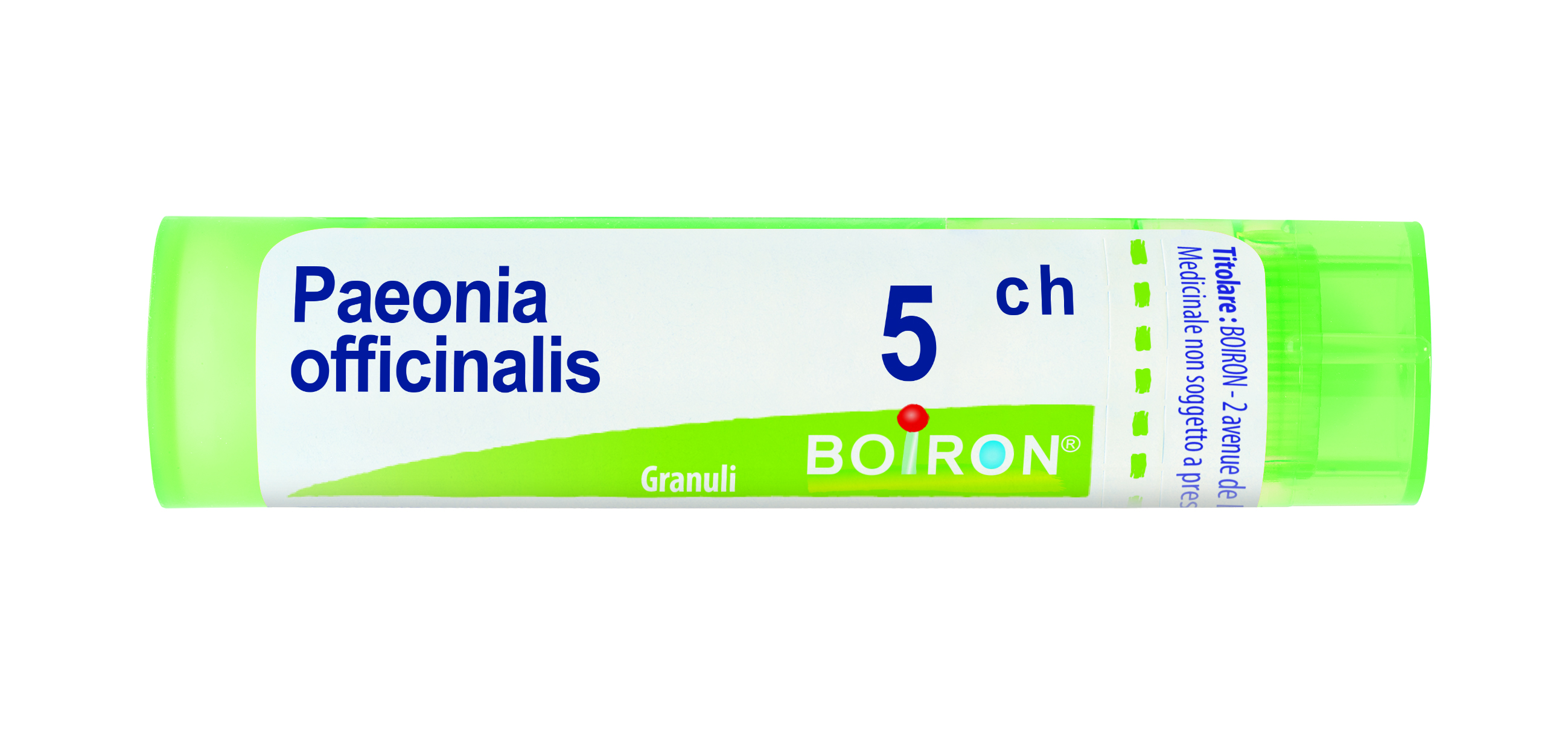Paeonia Off Boi – 5CH GR 4 g