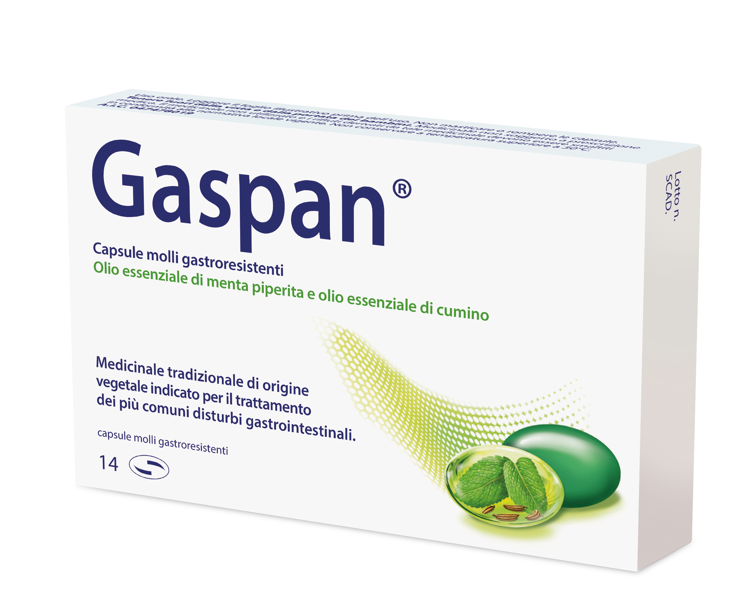 Gaspan – 14 capsule Molli Gastrores