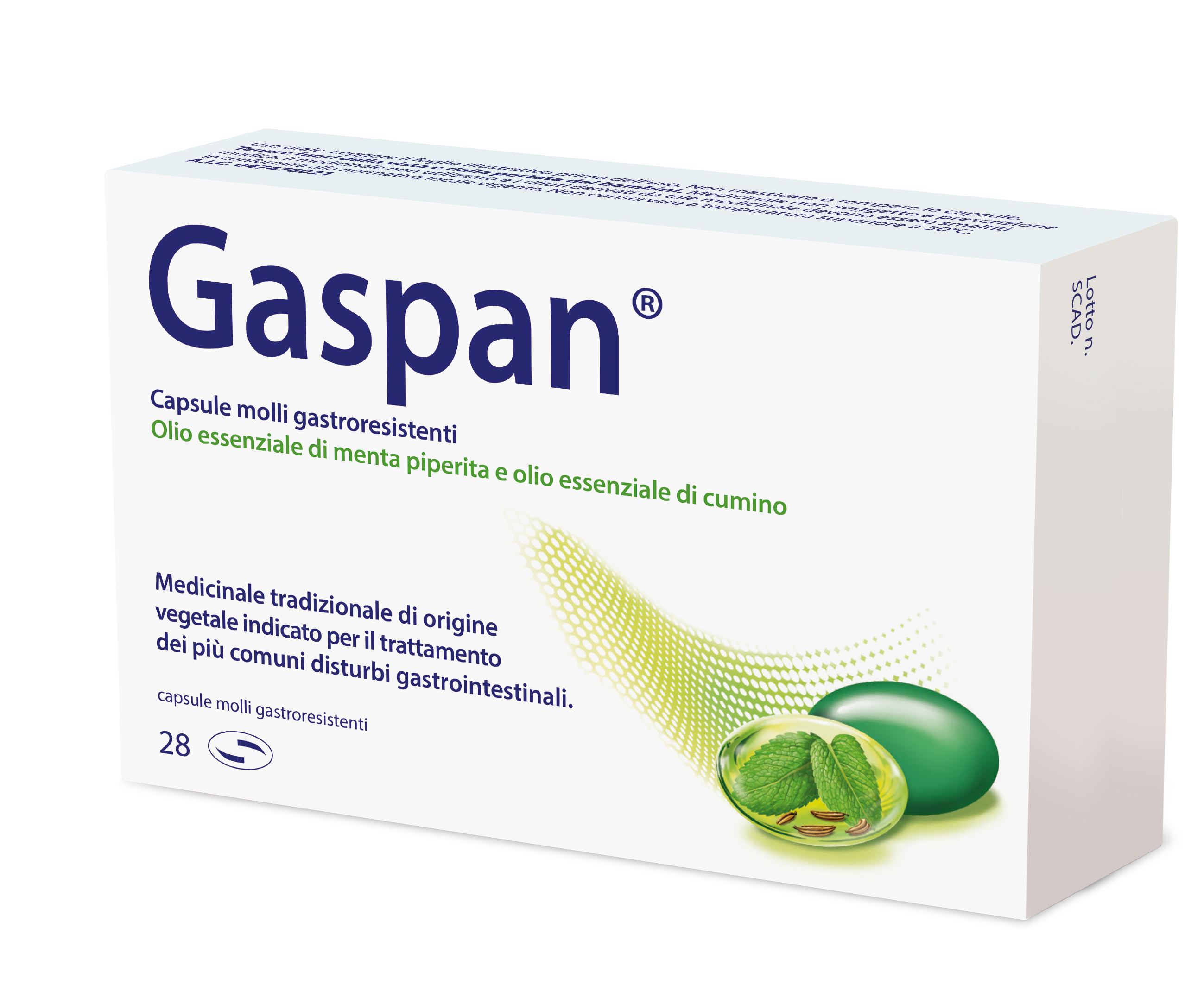 Gaspan – 28 capsule Molli Gastrores