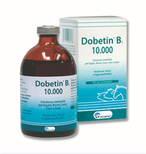 Dobetin B1 - 10.000 100ML