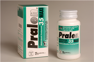 Pralen Maxi – 35 compresse Mast FL