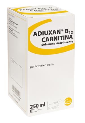 Adiuxan B12 Carnitina 250ML