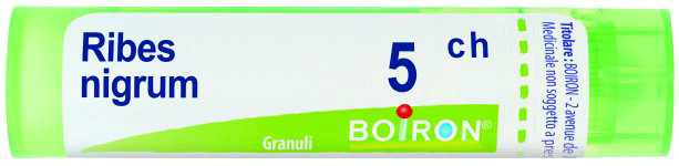 Ribes Nigrum 5CH GR 4 g