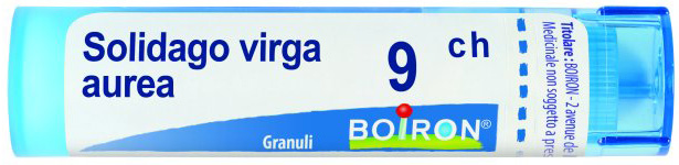 Solidago Virga Au 9CH GR 4 g