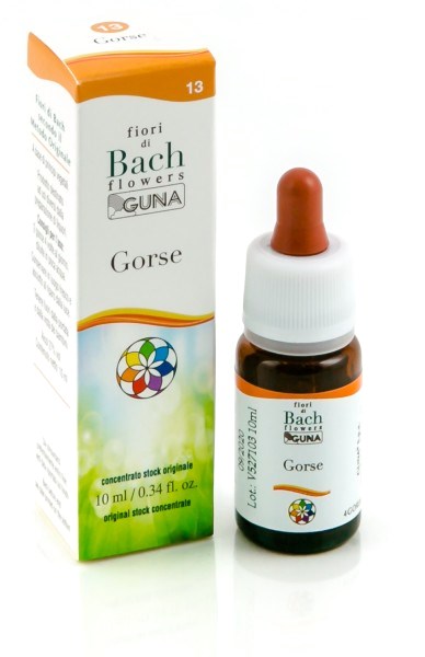 Gorse Gun GTT 10 ml