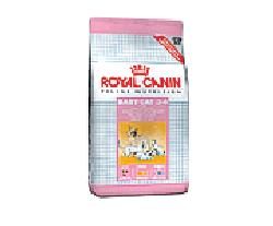 BABYCAT-34 400 GR R.C.