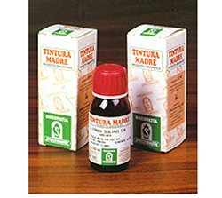 Amamelide 15 50 ml TM
