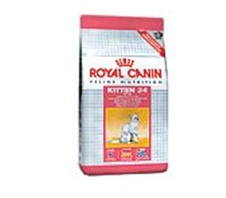 KITTEN-36 2 kg R.C.