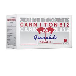 Carniton B12 20 BS 25 GR Cavalli