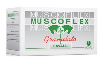 Muscoflex 40 BS 25 GR Cavalli