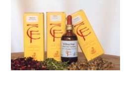 Ribes Gemme 100 ml mg