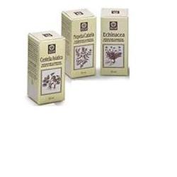 Echinacea Eanalco 50 ml 813
