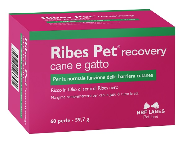 Ribes Pet 60 Perle Recovery