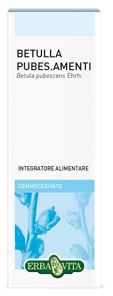 Gemmoderivato Betulla Pub 50 ml