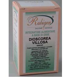 Dioscorea Villosa 60 capsule