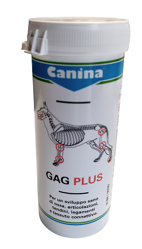 Gag Plus 100 GR 60 Tav.