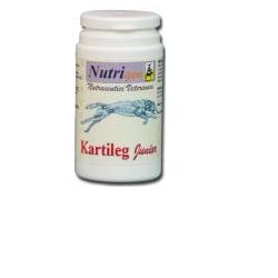 Kartileg Junior 30 Tav