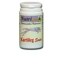 Kartileg Senior 30 Tav