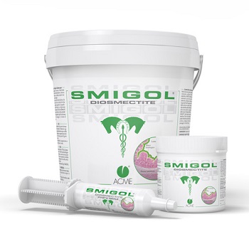 Smigol Pasta 1 Sir 100 GR