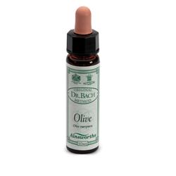 Ainsworths Olive 10 ml