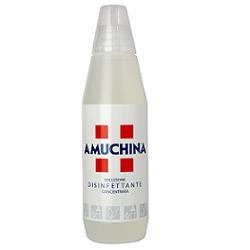 Amuchina 100% 1000 ml