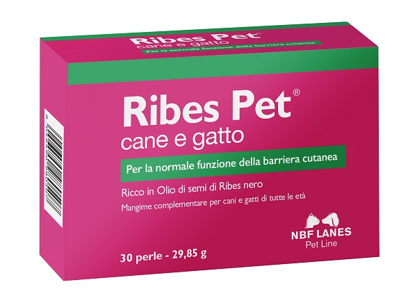 Ribes Pet 30 Perle