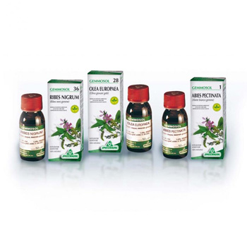 Gemmosol 24 Fico 50 ml