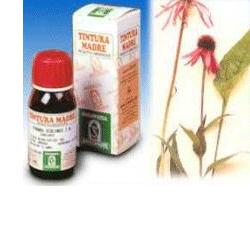 Echinacea 59 50 ml TM