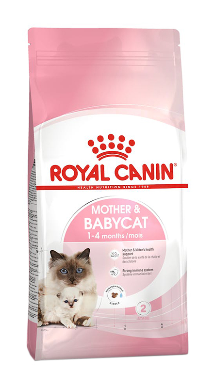 BABYCAT-34 2 kg R.C.