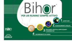 Bihor Diet Ruminativo 12X125G