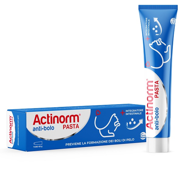 Actinorm Pasta Gatti 65 GR