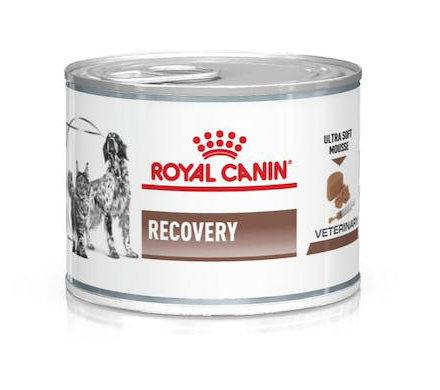Recovery Lattine R.C. 195GR