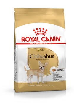 Chihuahua 28 1,5 kg R.C.