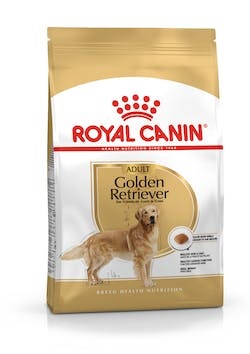 BHN Golden Retriever Ad 3 kg