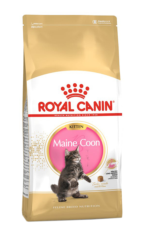 FBN Maine Coon Kitten 400 g