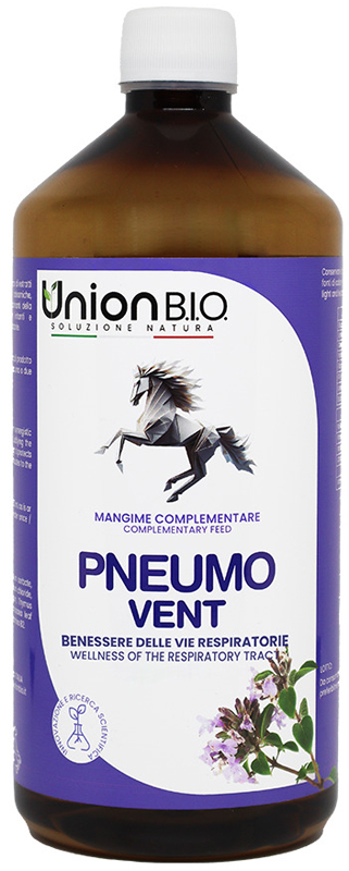 Pneumo Vent 1 LT