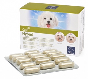 Hybrid 60 CPR 1000 mg