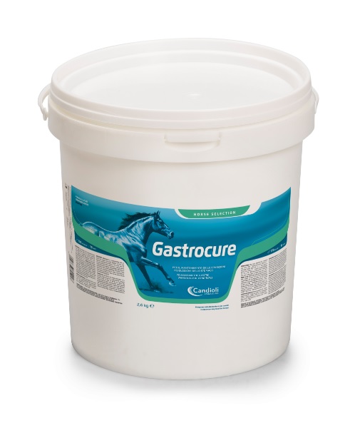 Gastrocure 2,6 kg