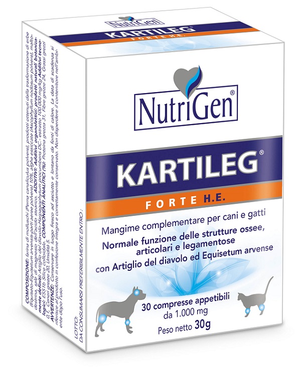 Kartileg Forte He 60 Tav