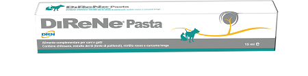 Direne Pasta 15 ml