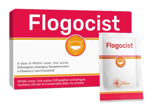 Flogocist 10BUST