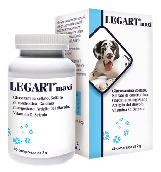 Legart Maxi 60 CPR