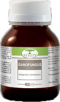 Ganofungus 60 capsule