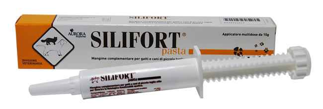Silifort Pasta Os Siringa 15 GR