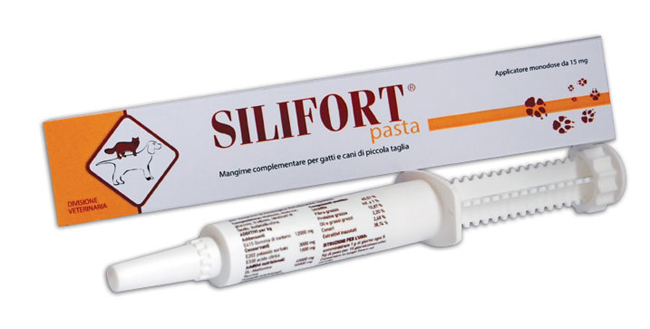 Silifort Pasta Os Siringa 30 GR