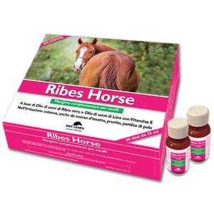 Ribes Horse 30FLX 25 ml
