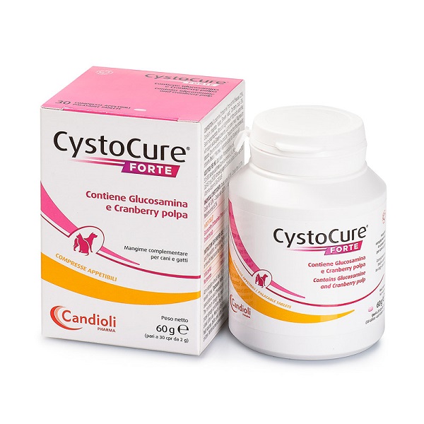 Cystocure Forte 30 CPR 60 GR
