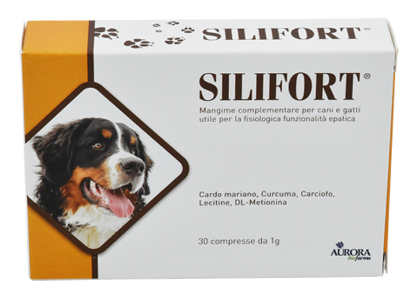 Silifort 30 CPR 1 GR