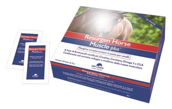 Resurgen Horse Muscle PL 60 Bust